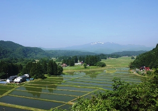 “平泉の文化遺産”のコアゾーンの一つ、本寺の「骨寺村荘園遺跡」。平成23年の登録実現を目指して、取り組みを進めていきます