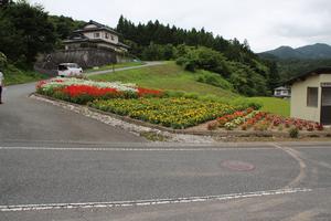 一般花壇部門　奨励賞