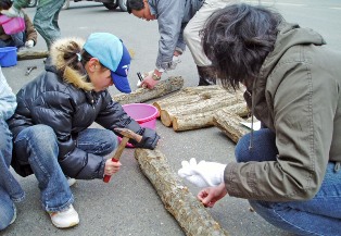 コナラなどの原木に種駒を打ち込む参加者