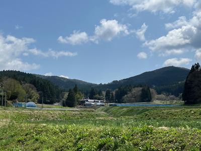 黄金山を望む