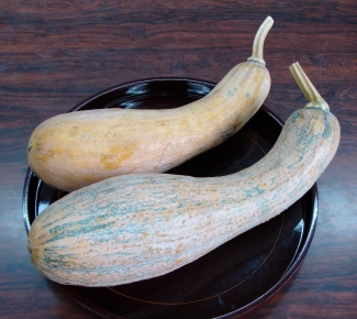 今月の素材_南部一郎かぼちゃ