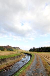 本寺川沿いに広がる荘園の主要部
