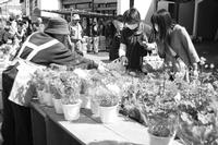 賑わいを見せた春の花泉互市