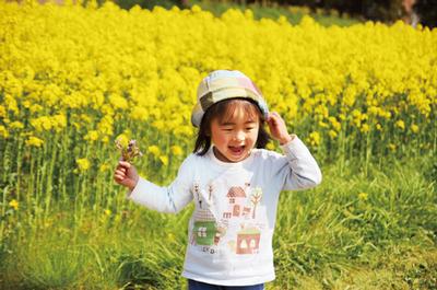 菜の花畑で花摘みを楽しむ小野寺真純ちゃん（3つ）