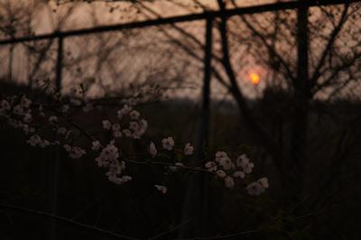 高専01