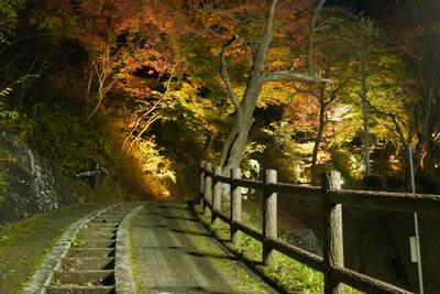 釣山公園紅葉